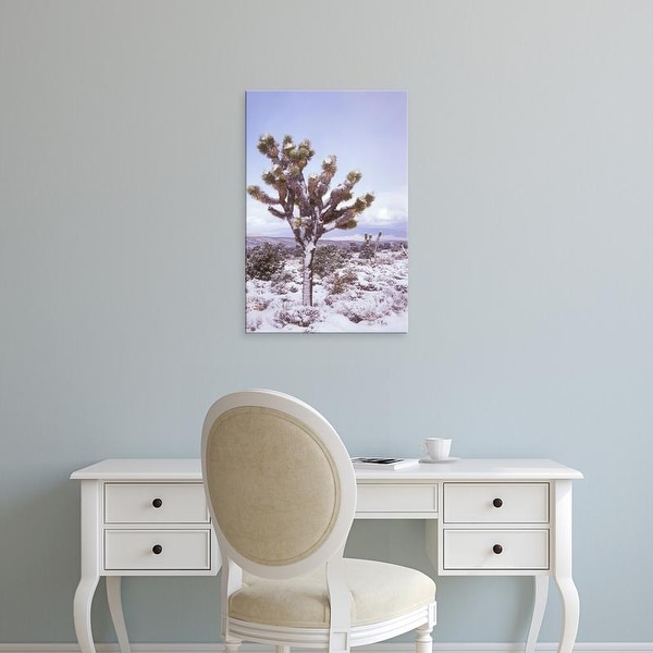 Easy Art Prints Brent Bergherm's 'Joshua Trees Grow In The Foothills Leading To Mt Charleston' Premium Canvas Art
