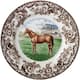 Option Thoroughbred Horse