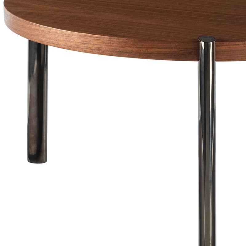 Litzy Modern & Contemporary Coffee Table