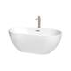 Option White / Brushed Nickel Trim