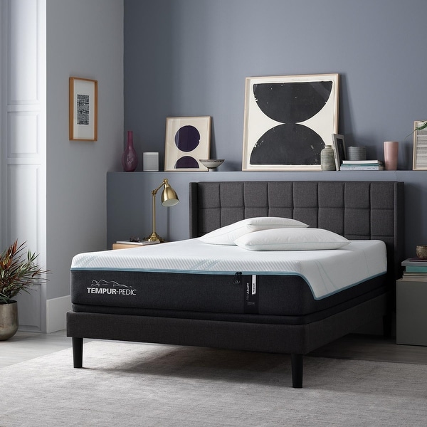 Tempur pedic bed bath and outlet beyond