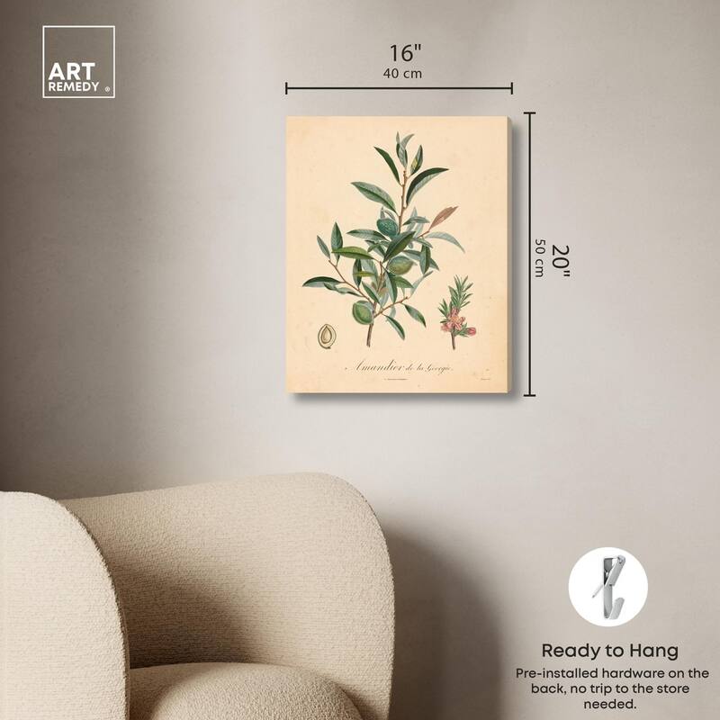 Almond of Georgia I Canvas by Art Remedy, Gallery Wrapped