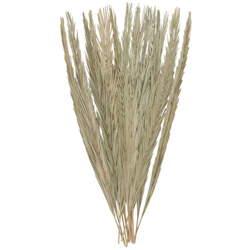 Palm Leaf Tall Home Decor Natural Foliage with Grass - Green - Roche River Decor - Green - 6"W, 61"H