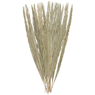 Palm Leaf Tall Home Decor Natural Foliage with Grass - Green - Roche River Decor