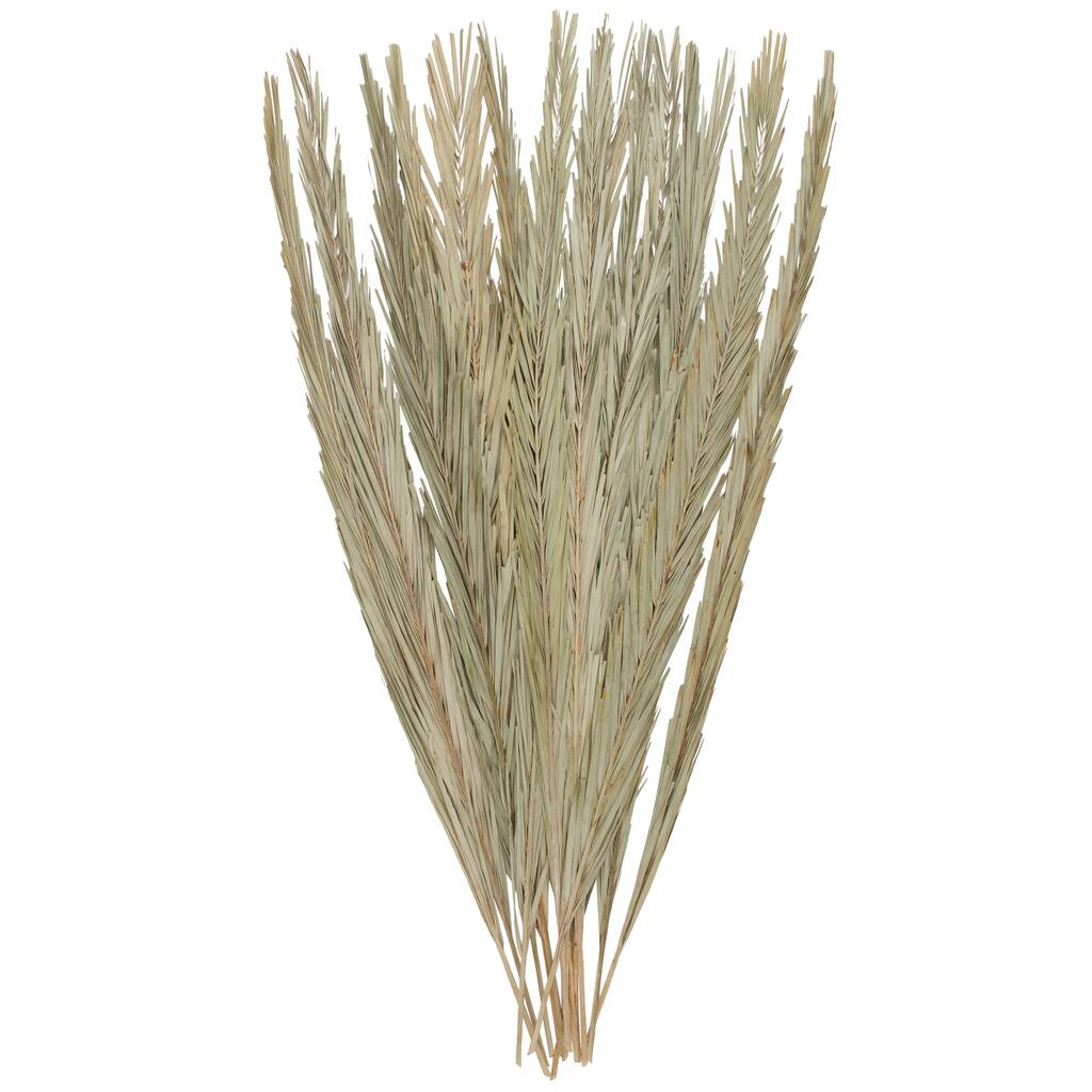 Palm Leaf Tall Home Decor Natural Foliage with Grass - Green - Roche River Decor