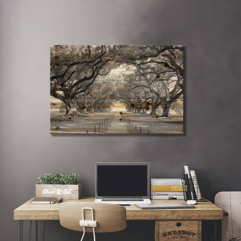 Brick Path Through Alley Of Oak Trees, Louisiana, New Orleans, USA (Black And White) I Print On Wood by Panoramic Images