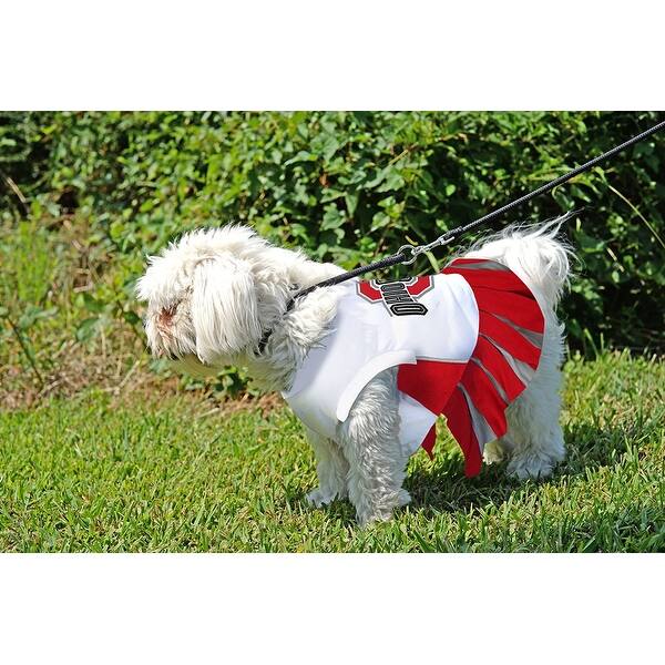 Shop Collegiate Ohio State Pet Cheerleader Overstock 19963666