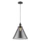 Option Oil Rubbed Bronze / Light Smoke