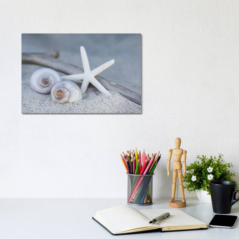 iCanvas "Starfish Beach Still" by Andrea Haase Canvas Print - 8x12x0.75
