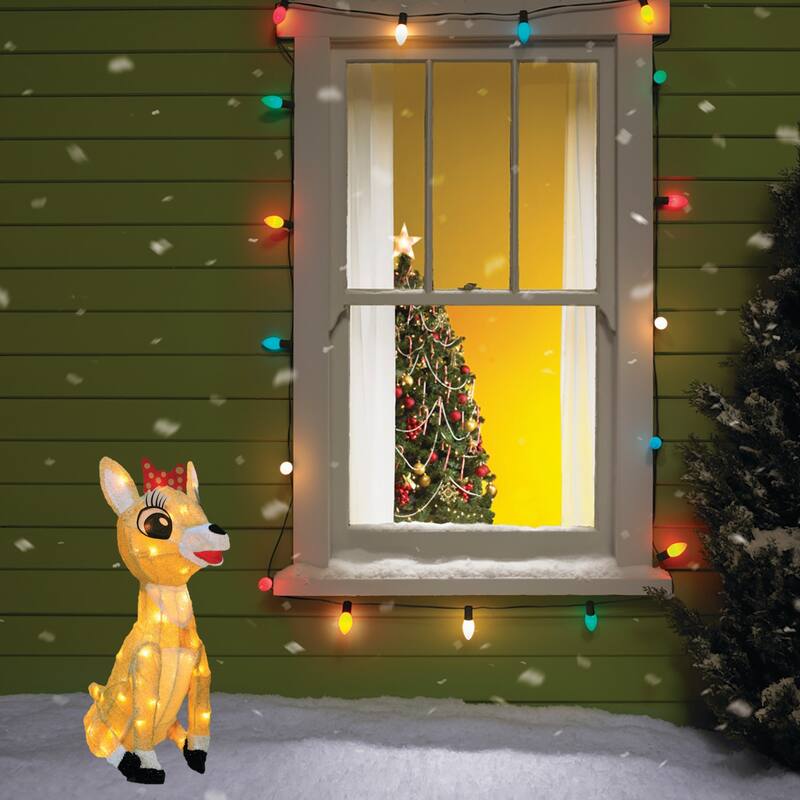 15" Lighted Clarice Outdoor Christmas Yard Decoration