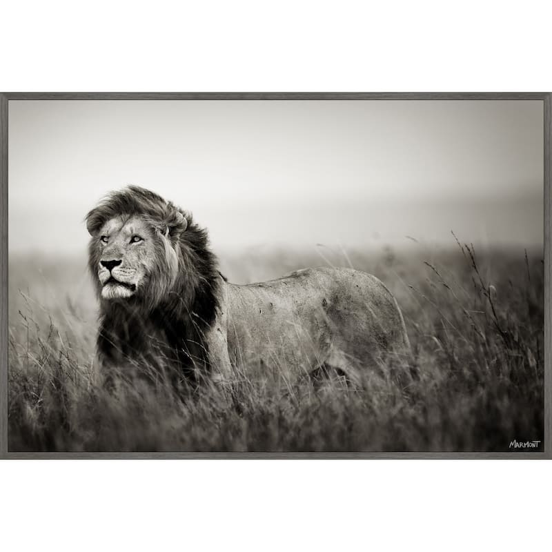 Be the Boss Floater Framed Print on Canvas