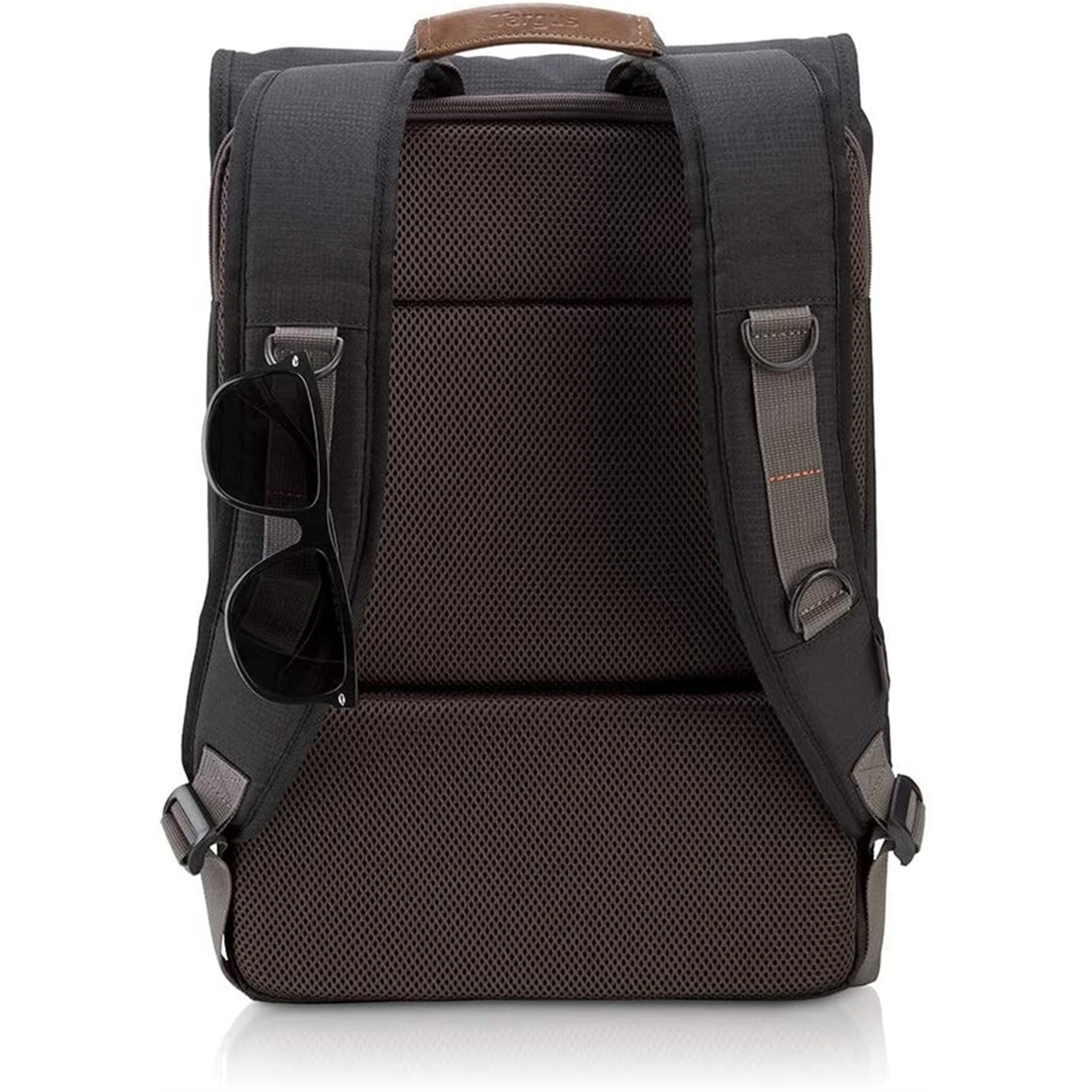 urban turtle backpack