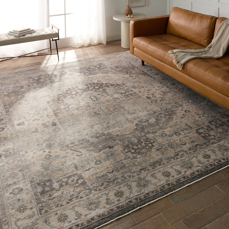 Vibe by Jaipur Living Starling Medallion Rug