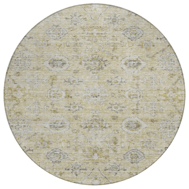 Machine Washable Indoor/ Outdoor Vintage Traditional Chantille Rug