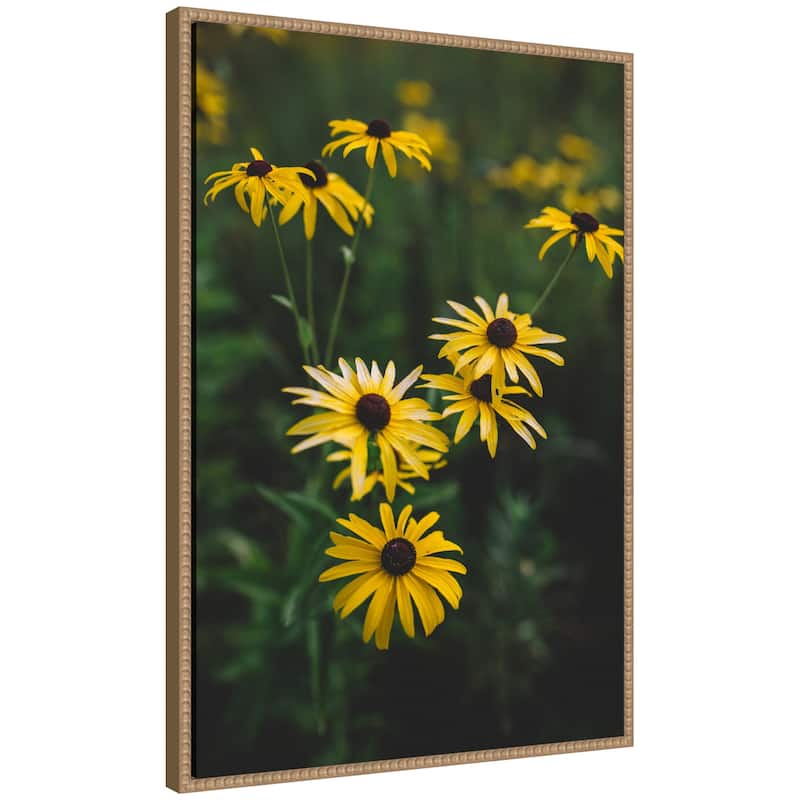 Kate and Laurel Sylvie Yellow Daisy Floral Blooms Framed Canvas by Patricia Hasz of Patricia Rae Photography - 23x33