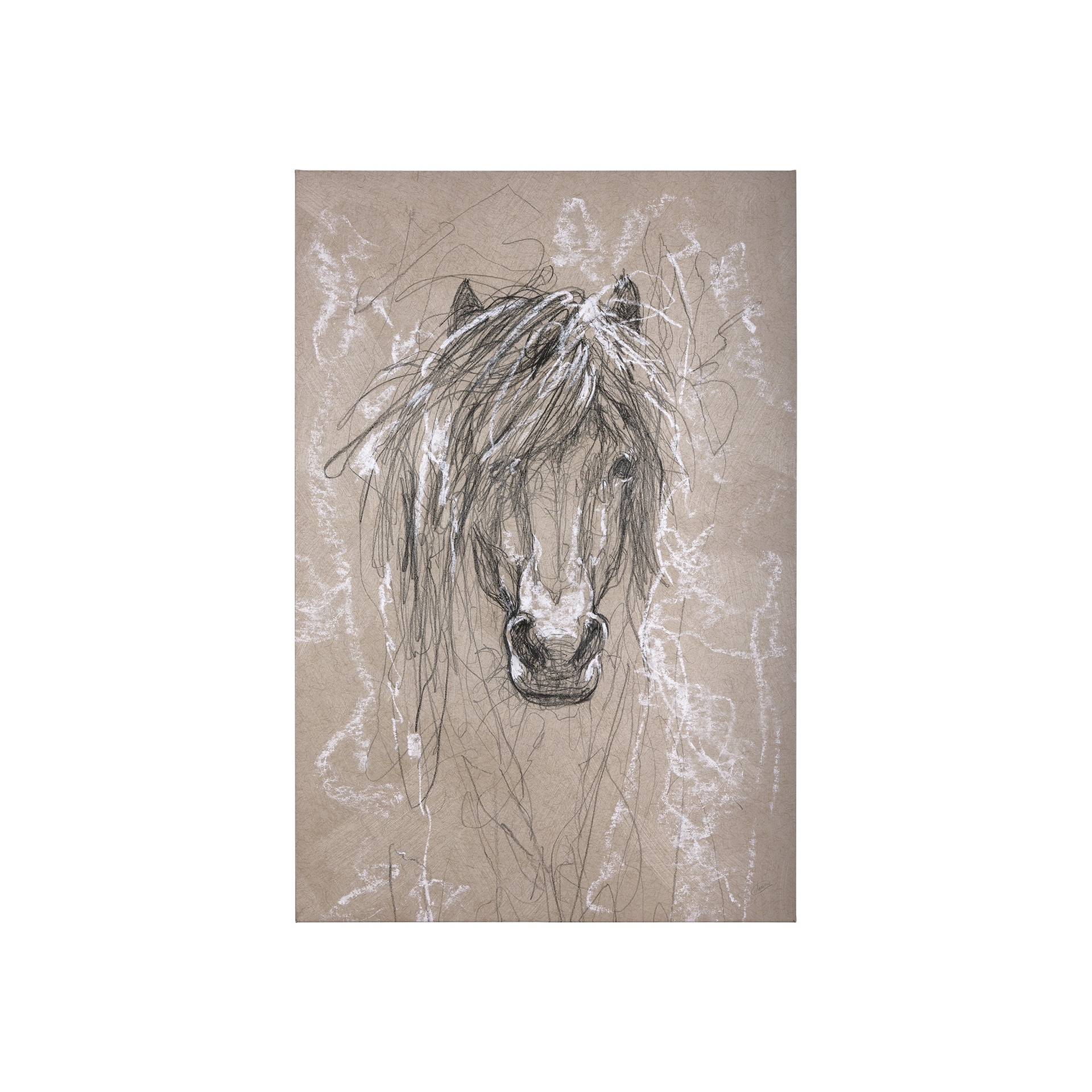 Mercana Sketch of Animal VI (Pony) (30 x 45) Canvas Art Print