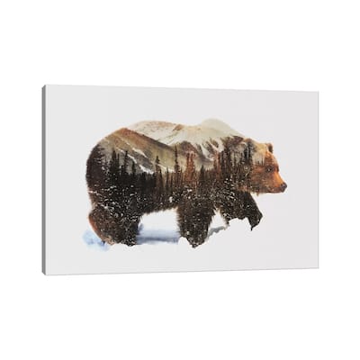 iCanvas "Arctic Grizzly Bear" by Andreas Lie Canvas Print