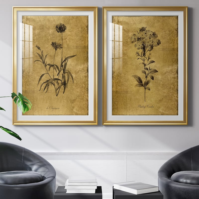 Gold Sketch Botanical I Premium Framed Print - Ready to Hang