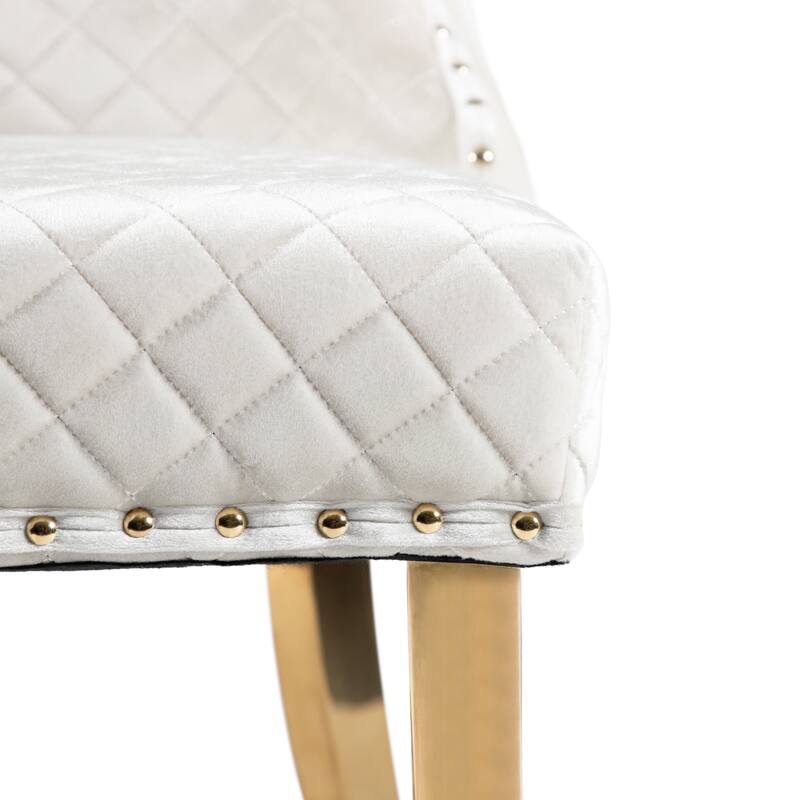 Furniture of America Thaddeus Glam Fabric Dining Chair with Nailhead Trim (Set of 2)