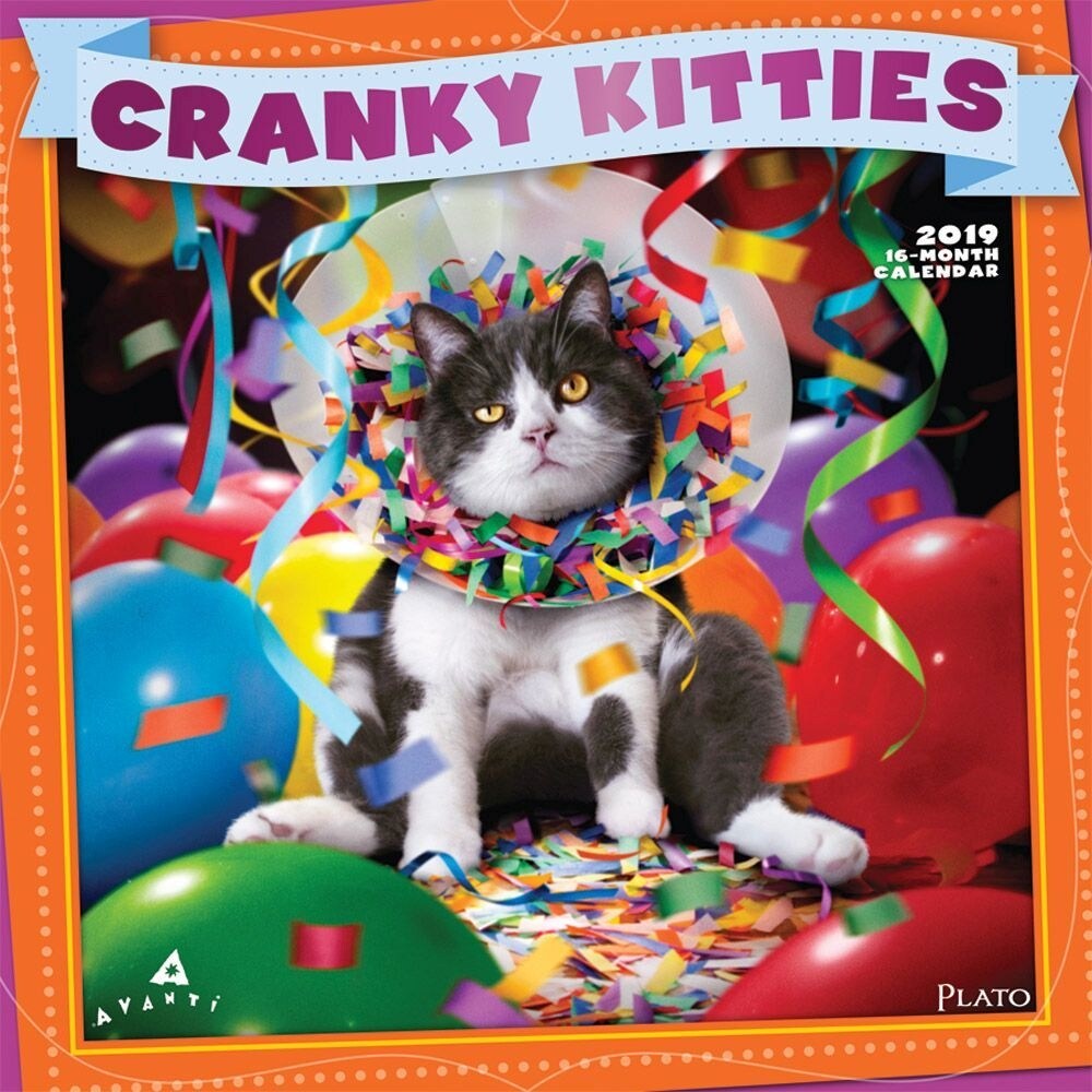 Shop 2019 Cranky Kitties 2019 Wall Calendar Funny Cats By