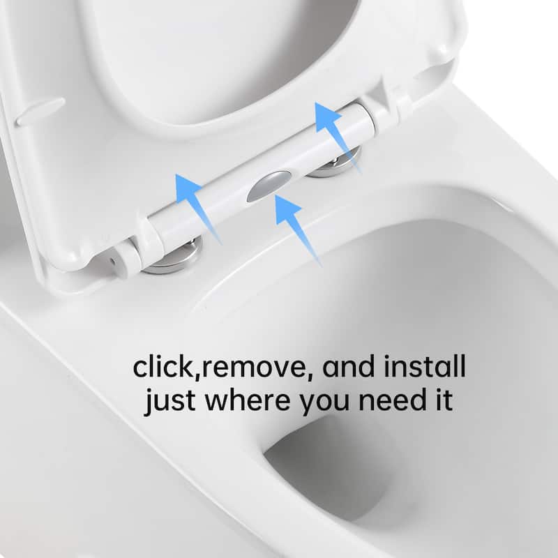 Super Quiet Flushing One-Piece Toilet with Soft-Close Seat