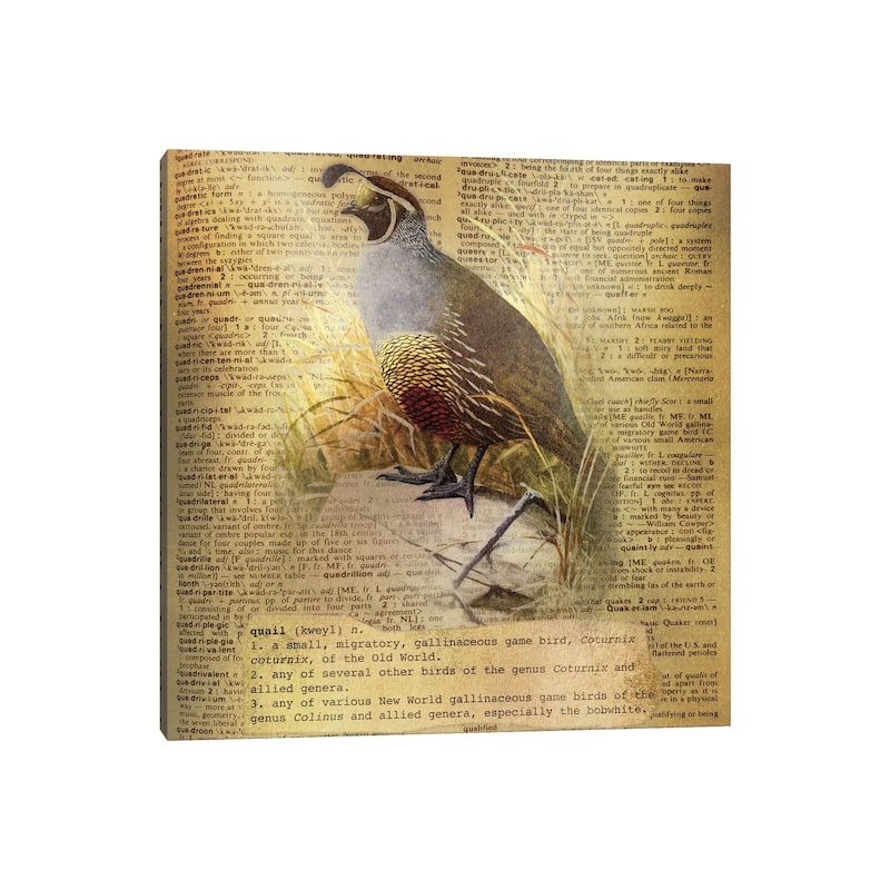 iCanvas "Q - Quail Square" by 5by5collective Canvas Print
