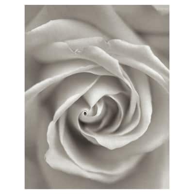 Florison #23 by Alan Blaustein Canvas Art Print