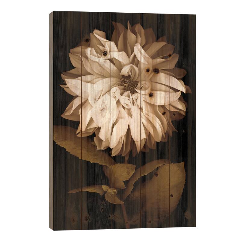 Dahlia I Print On Wood by Caroline Kelly - Multi-Color - 40x26x1.5