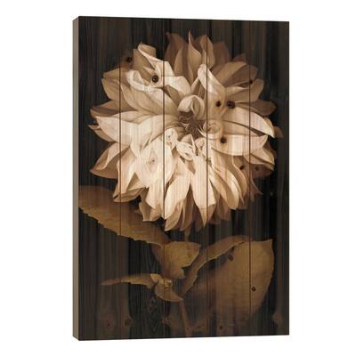 Dahlia I Print On Wood by Caroline Kelly - Multi-Color