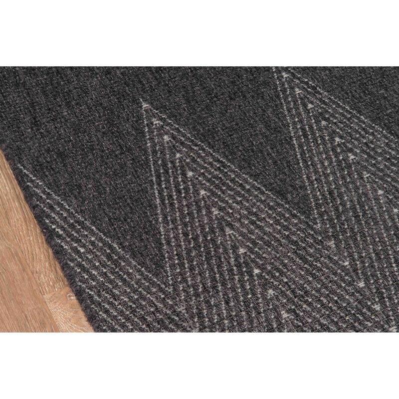 ECARPETGALLERY Machine Woven Raven Indoor/Outdoor Area Rug