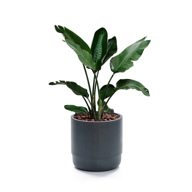 Modern Grey MgO 14.17" Round Planter