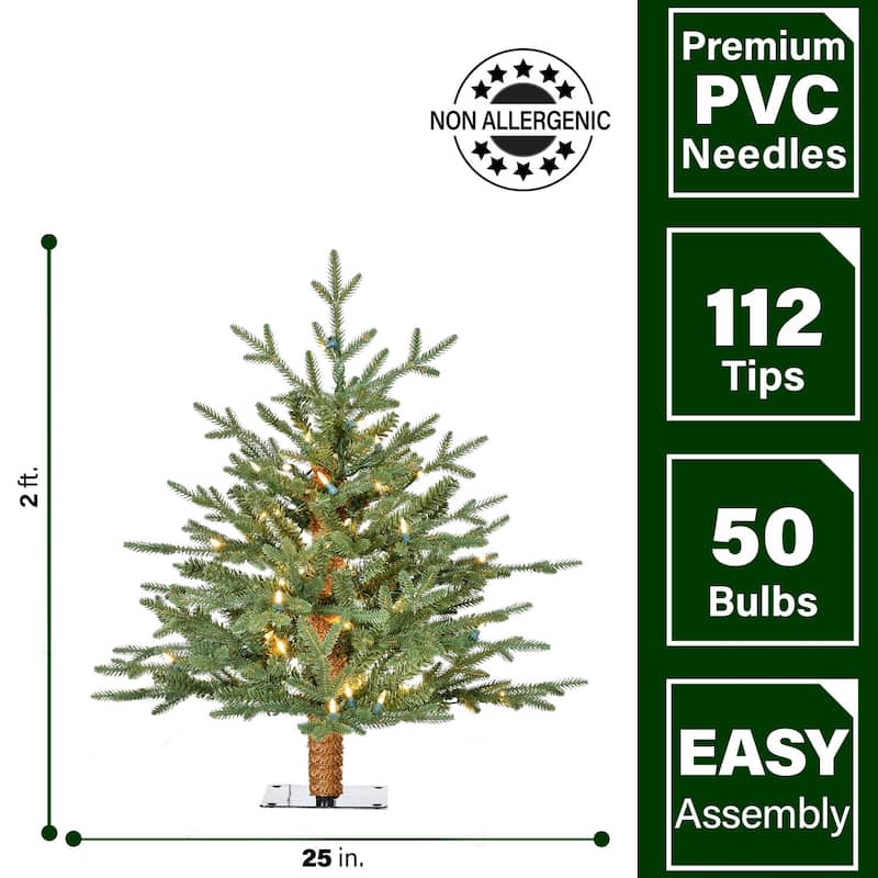 Fraser Hill Farm 2-Ft. Green Alpine Porch Accent Tree with Warm White LED Lights, Set of 2