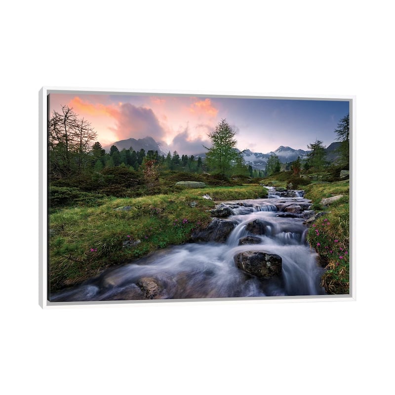 "Wild Paradise" by Stefan Hefele Framed