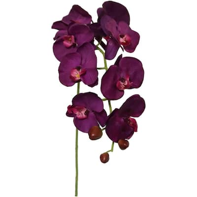 Floral Home Artificial phalaenopsis Orchid Stems 33.5" Tall - 2 Pack