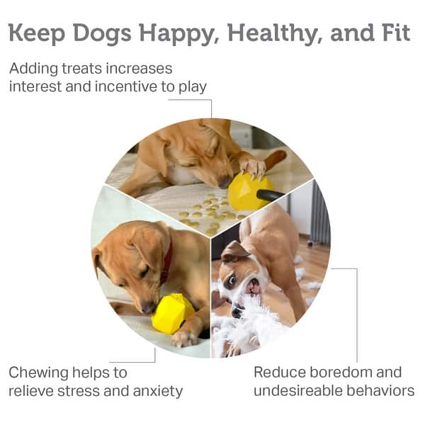 Friends Forever Dog Chew Toys, Tough Dog Toys - Bed Bath & Beyond - 40329494