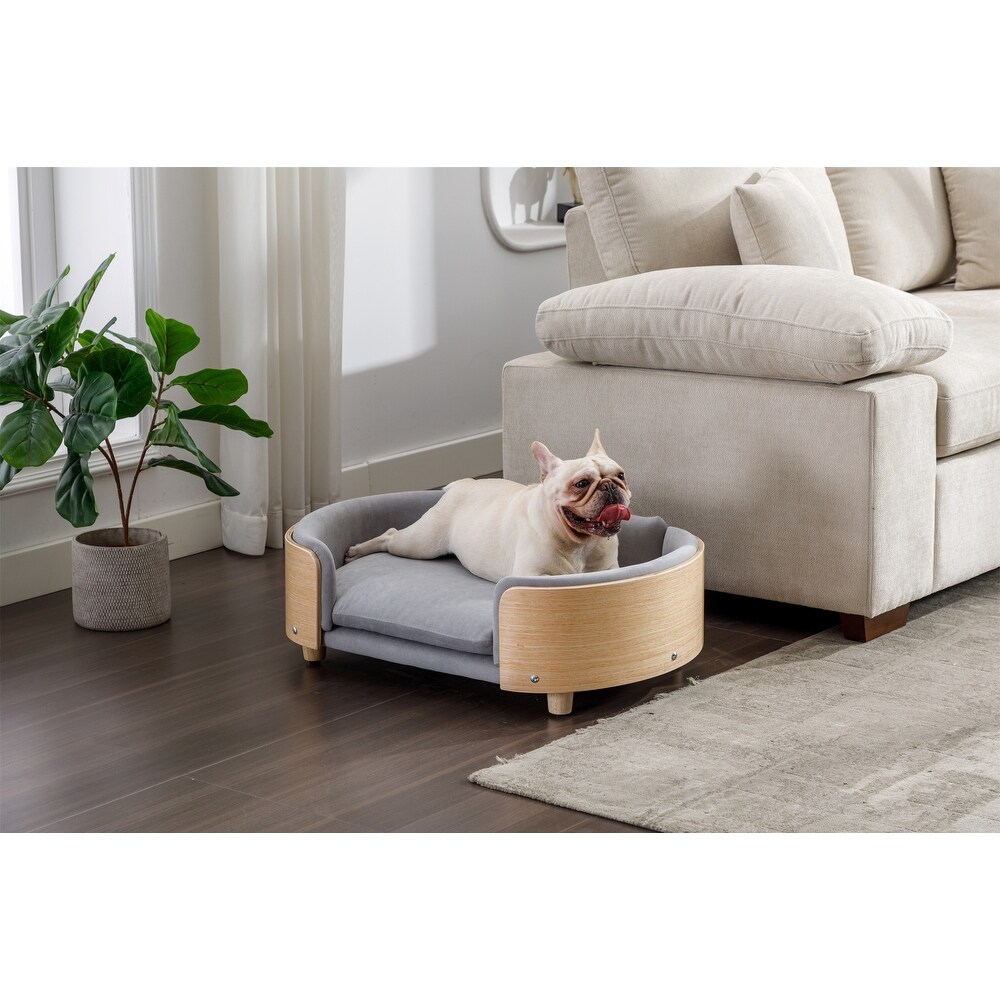 Dry clean dog bed clearance
