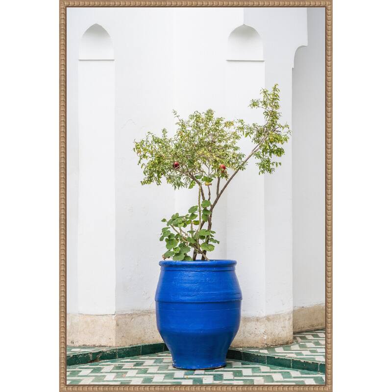Apple Tree in Morocco by Photolovers Framed Canvas Wall Art Print