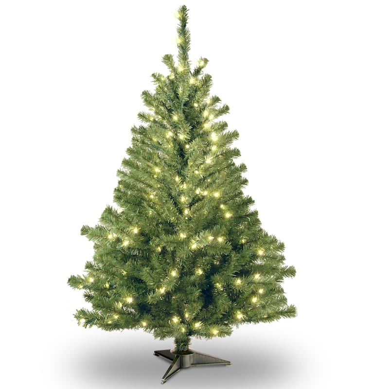 National Tree Company 4 ft. Kincaid Spruce Tree with 100 Clear Lights - 4 Foot