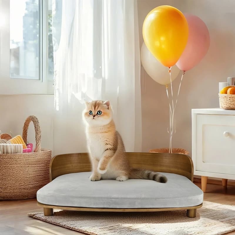 Elevated Dog Bed Curved Wood with Waterproof Soft Cozy Cushion Stool