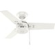 preview thumbnail 83 of 96, Hunter Cassius Outdoor Ceiling Fan, Damp Rated - Industrial, Farmhouse, Contemporary