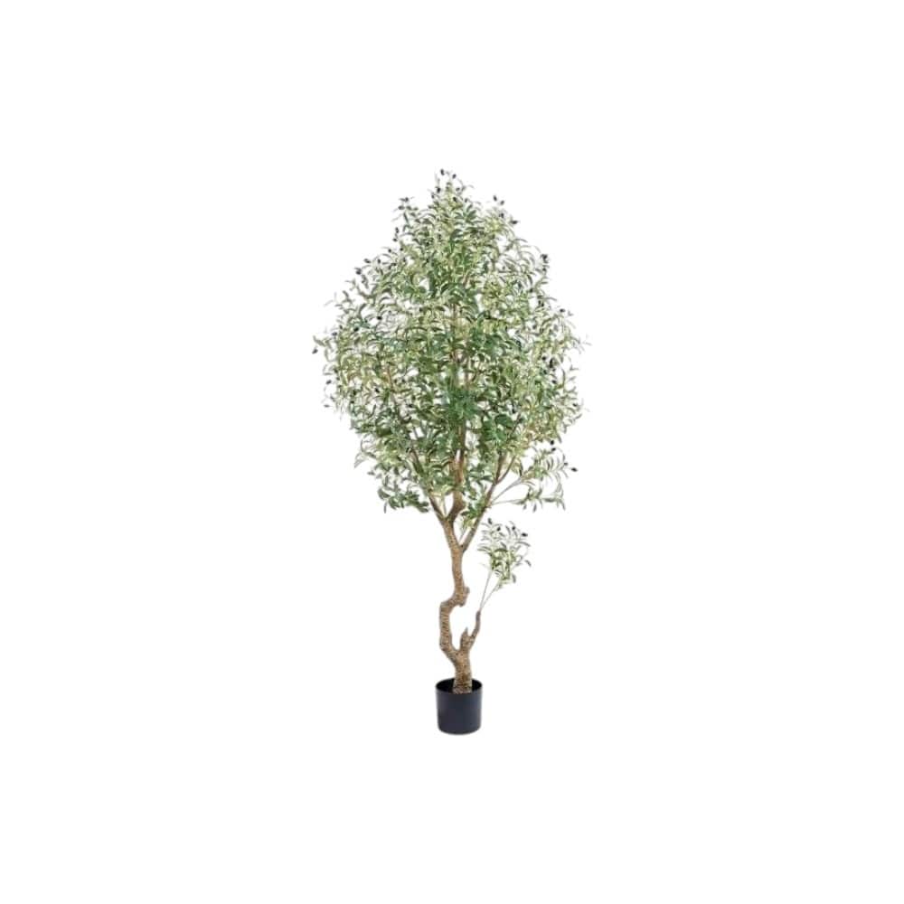 HomeRoots 87" Green Artificial Olive Tree In Cylindrical Black Cement Pot - 8.27 in. x 86.61 in. x 8.27 in.