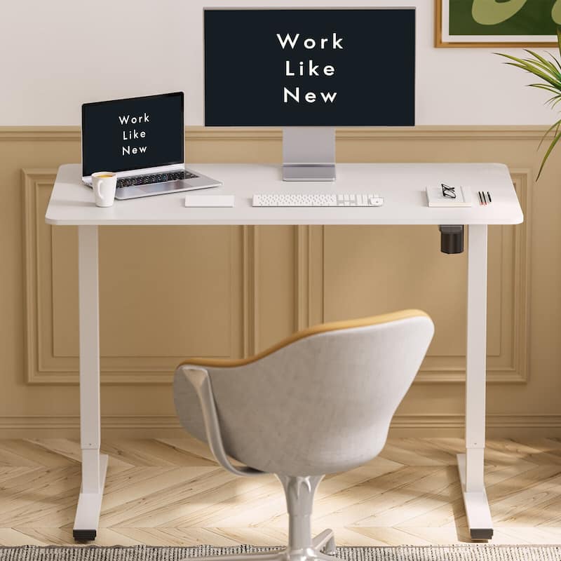 FlexiSpot Electric Standing Desk Whole-Piece Desk Board Computer Desk Height Adjustable Desk for Home Office
