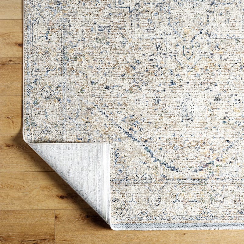 Livabliss Rivaldo Traditional Distressed Medallion Area Rug