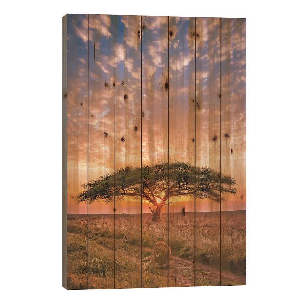 Africa Safari Sunset With Lion Portrait Print On Wood by Alex G Perez - Multi-Color