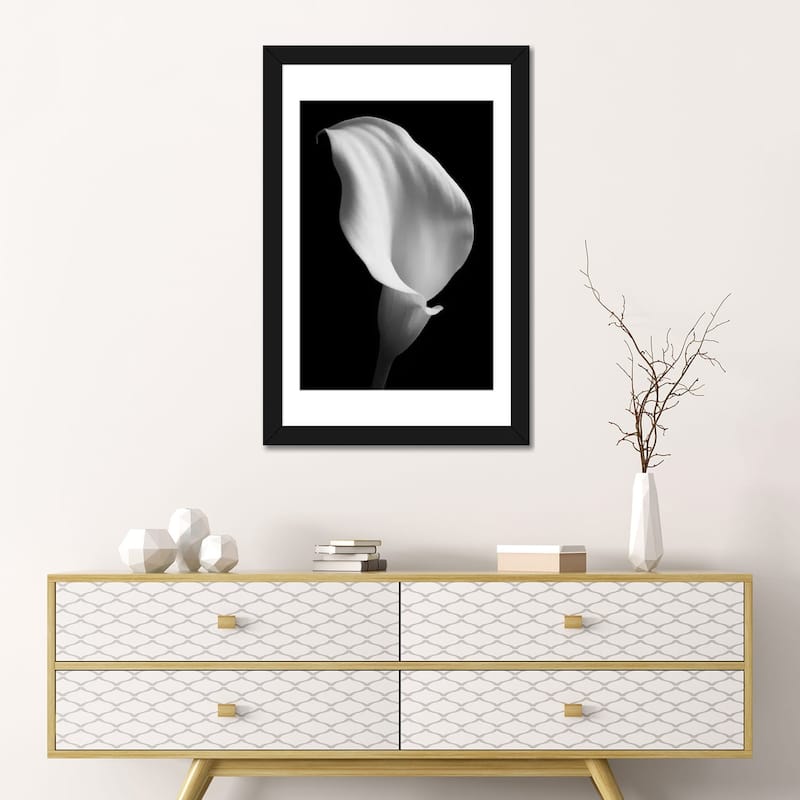 iCanvas "Lily On Black II" by Tom Quartermaine