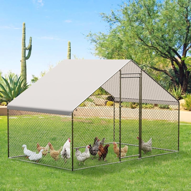 Large Metal Chicken CoopWalk-in Poultry Cage