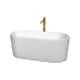 Option White / Shiny White Trim / Brushed Gold Faucet
