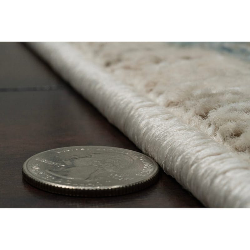 Dynamic Rugs Juno Transitional Area Rug