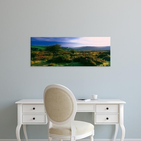 Easy Art Prints Panoramic Images's 'Tree and plants on a landscape, Dartmoor, Devon, England' Premium Canvas Art