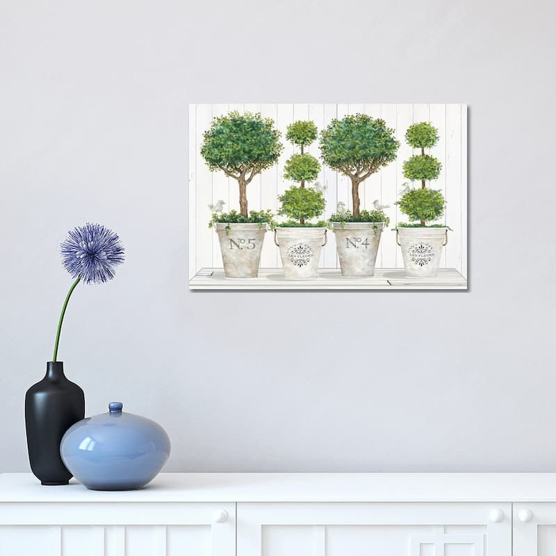 iCanvas "Topiary Still Life" by Cindy Jacobs Canvas Print - 12x18x1.5